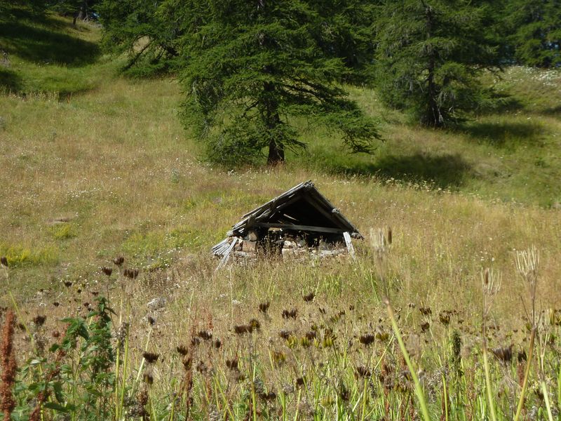 montagne_de_cheroueche_2011_090.jpg