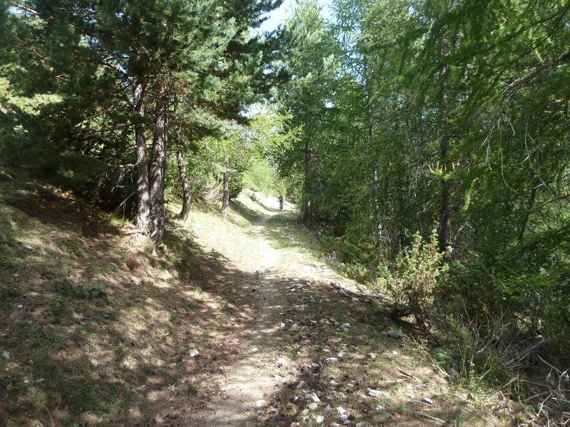 montagne_de_cheroueche_2011_096.jpg