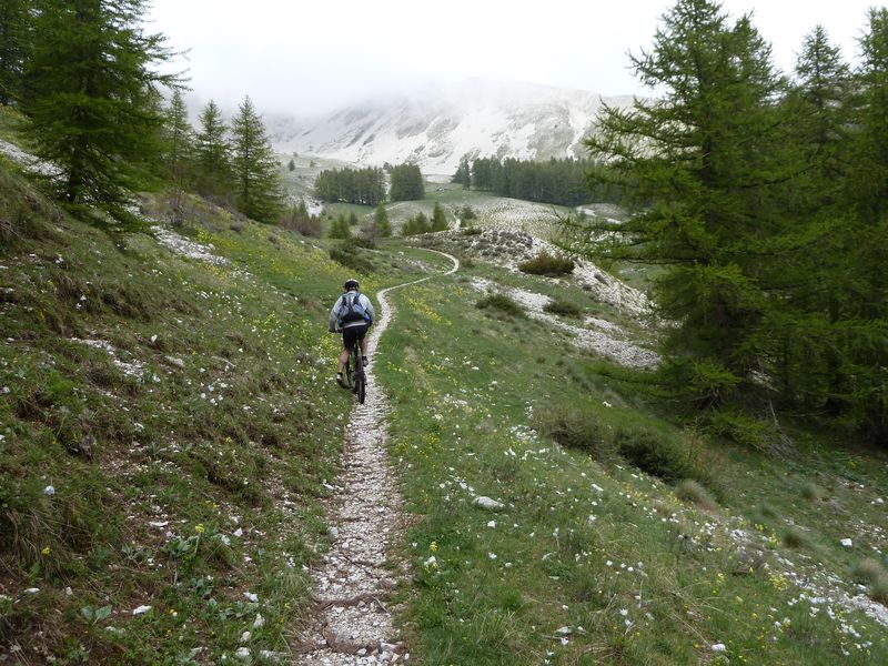 cheval_blanc_mai_2012_046.jpg