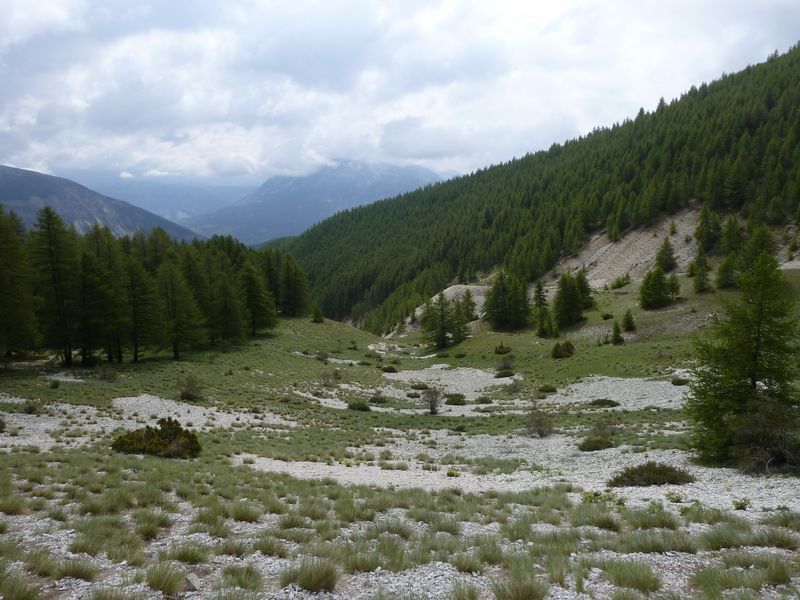 cheval_blanc_mai_2012_056.jpg