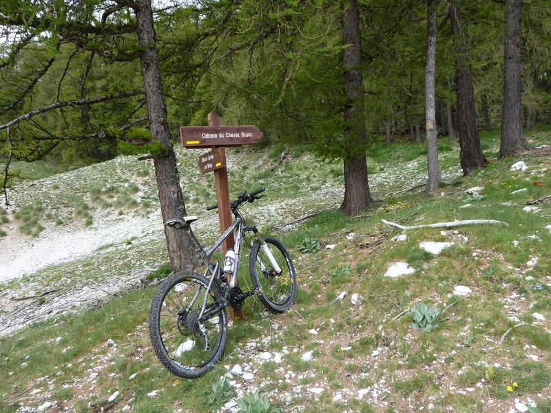 cheval_blanc_mai_2012_058.jpg