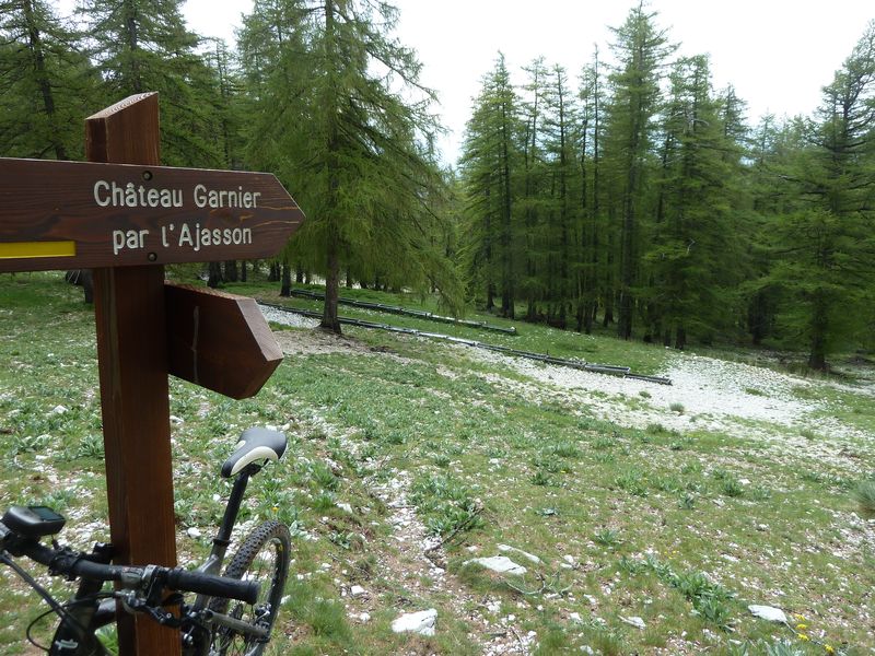 cheval_blanc_mai_2012_060.jpg