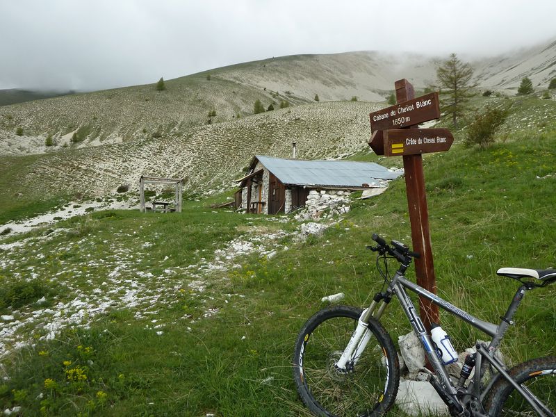 cheval_blanc_mai_2012_064.jpg