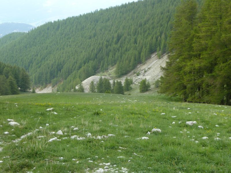 cheval_blanc_mai_2012_066.jpg