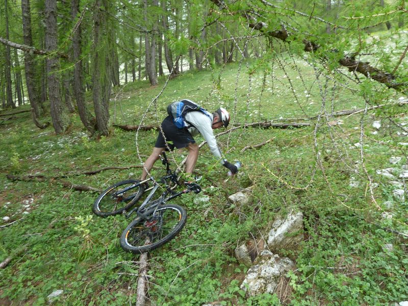 cheval_blanc_mai_2012_088.jpg