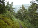 cheval_blanc_mai_2012_096.jpg