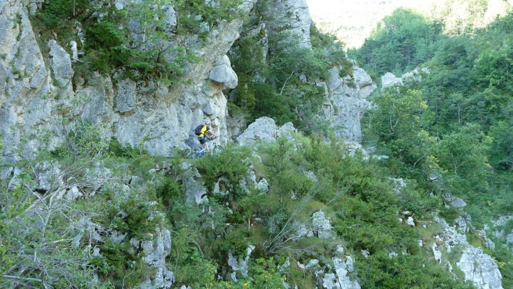chiran_2013_008.jpg