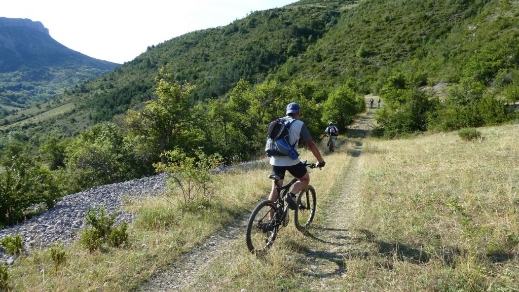 chiran_2013_018.jpg