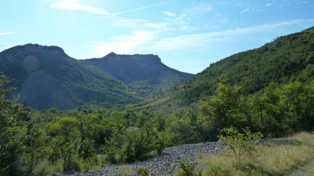 chiran_2013_020.jpg