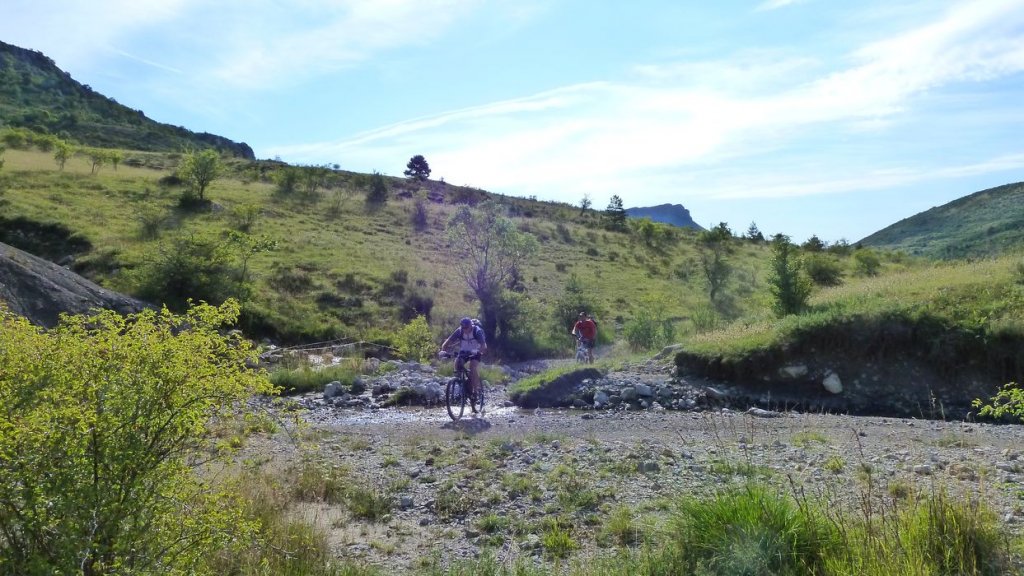 chiran_2013_034.jpg
