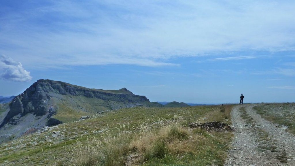 chiran_2013_066.jpg
