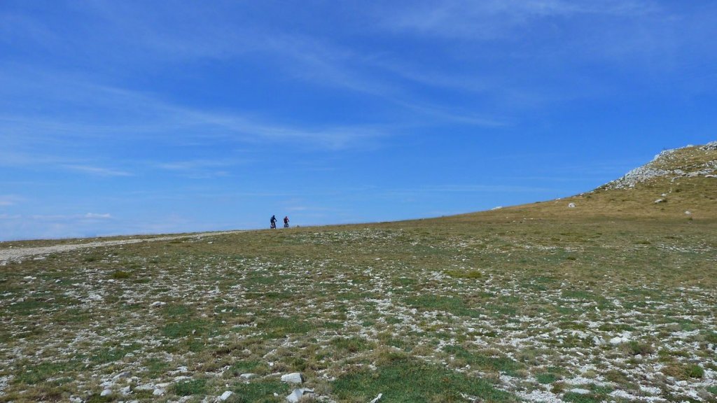chiran_2013_074.jpg