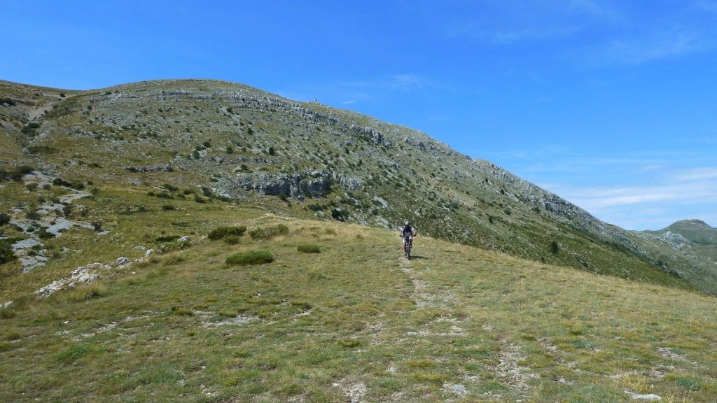 chiran_2013_096.jpg