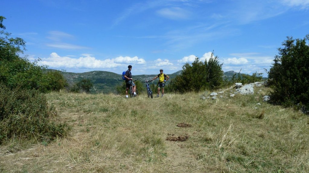 chiran_2013_098.jpg