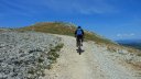 chiran_2013_070.jpg