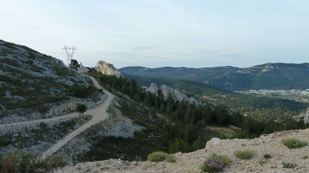col_bertagne_avril_2015_084.jpg