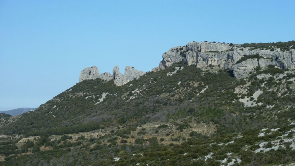 col_bertagne_avril_2015_508.jpg