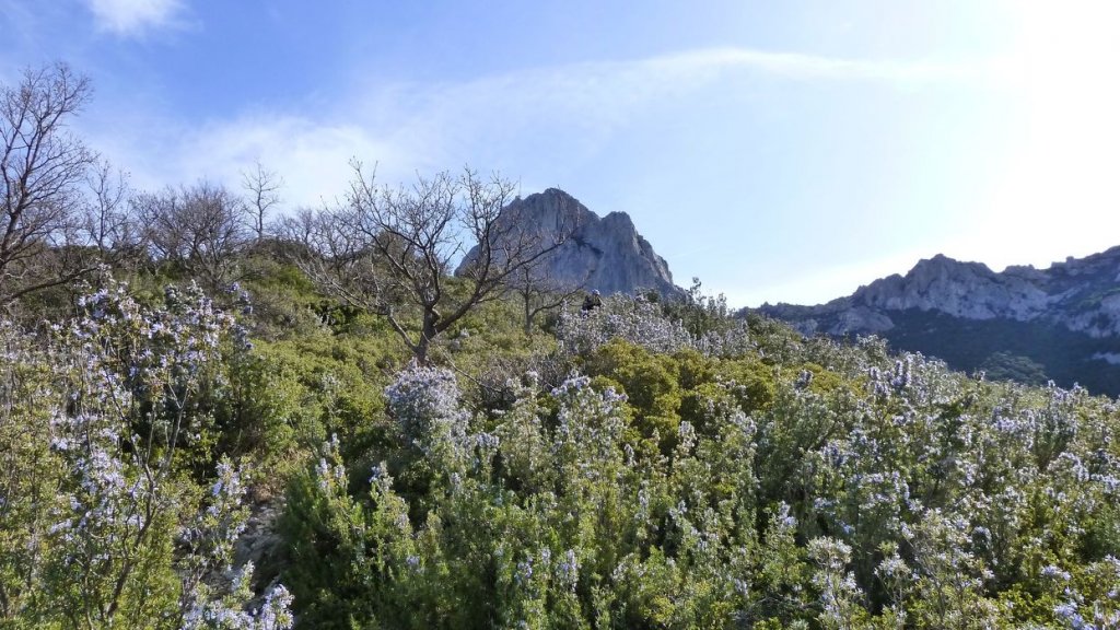 col_bertagne_avril_2015_584.jpg
