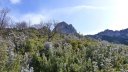 col_bertagne_avril_2015_584.jpg