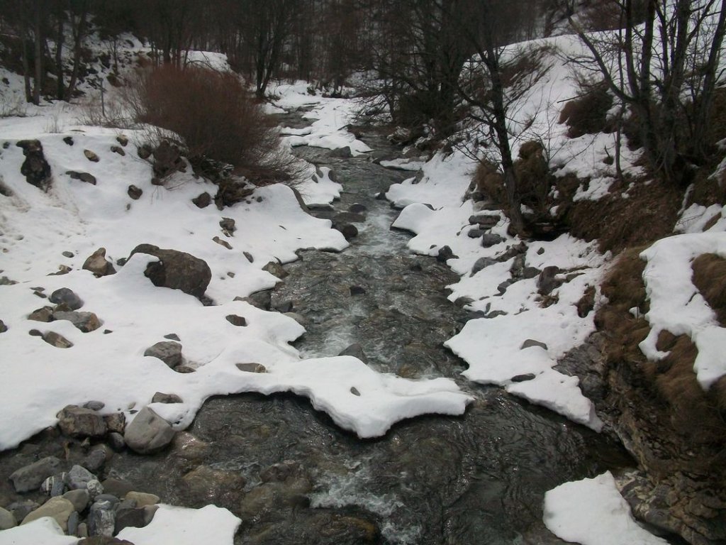100_7278.JPG