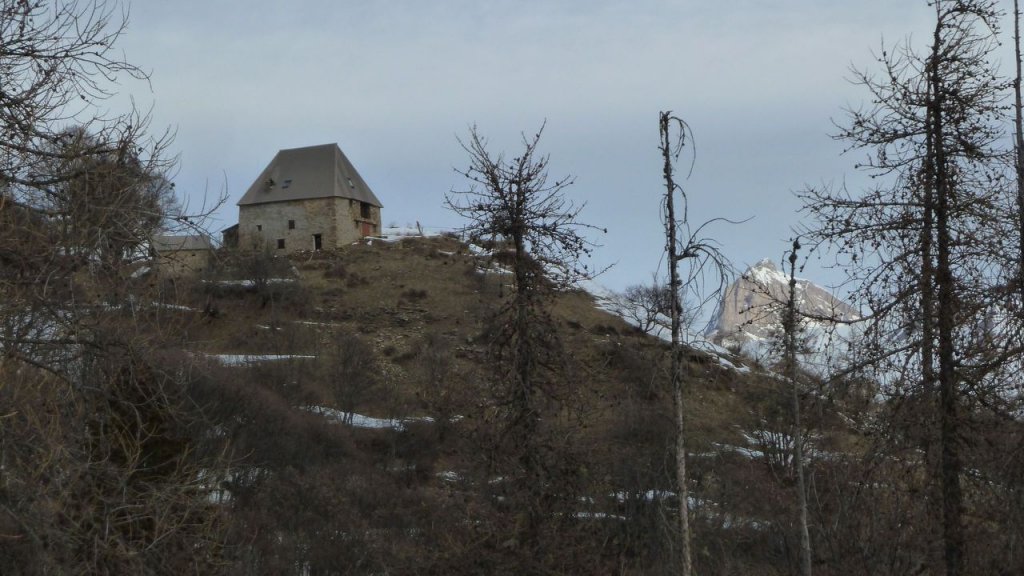 P1160994.JPG