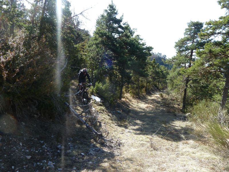 col_demandolx_mars_2012_095.jpg