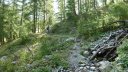 col_des_champs_2017_241.JPG