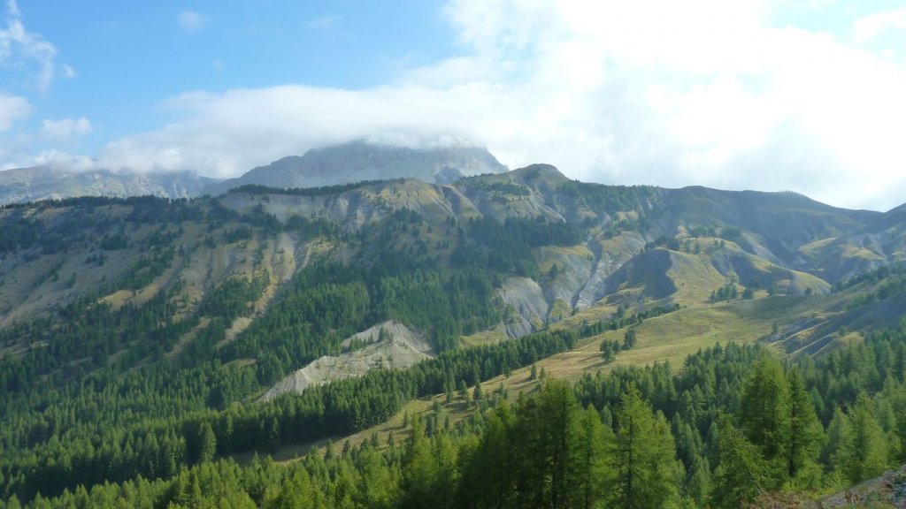 P1010262.JPG
