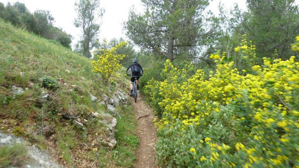 col_des_ouides_avril_2016_212.JPG