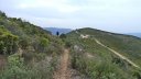 col_des_ouides_avril_2016_176.JPG