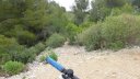 col_des_ouides_avril_2016_209.JPG