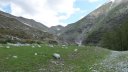col_talon_mai_2018_091.JPG