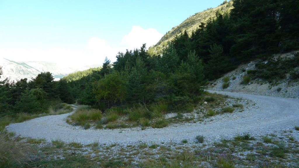 P1010943.JPG