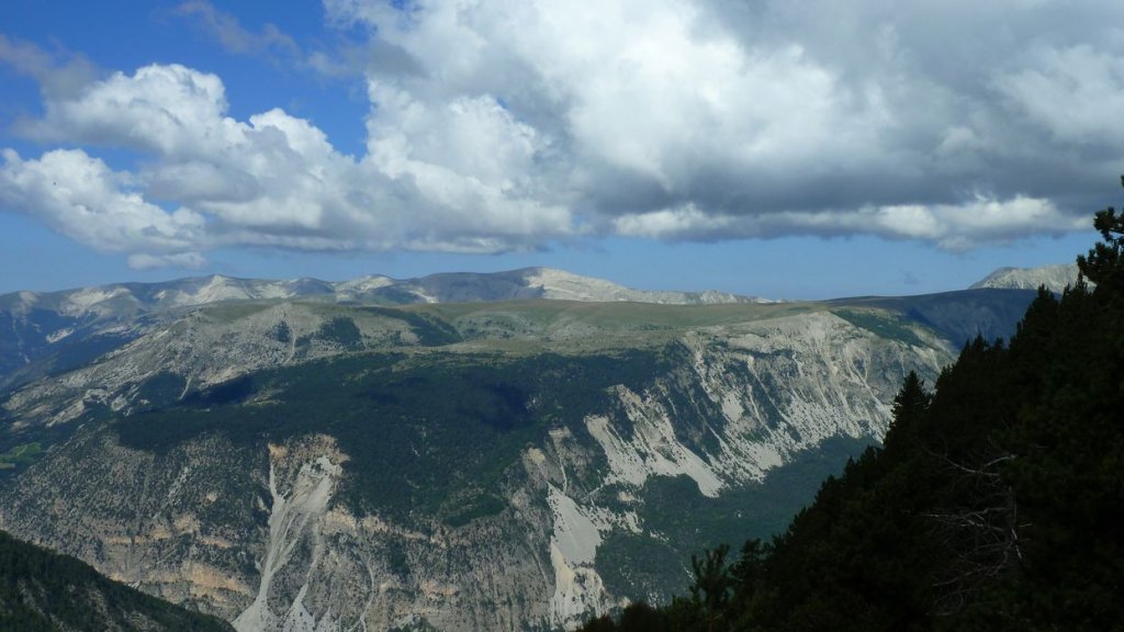 P1010974.JPG