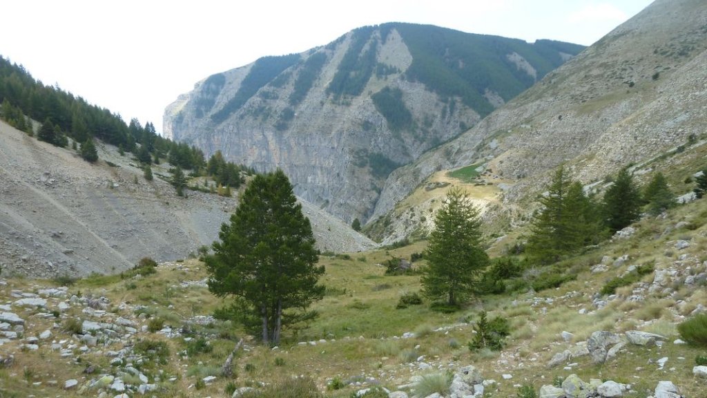 colmars-annot_juillet_2012_104.jpg