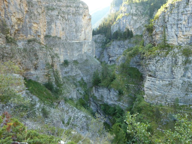 congerman_2011_037.jpg