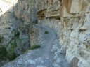 congerman_2011_055.jpg