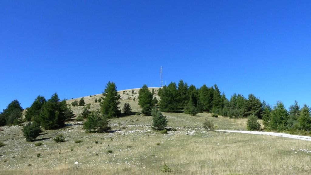 cordoeil_antenne_aout_2015_065.JPG