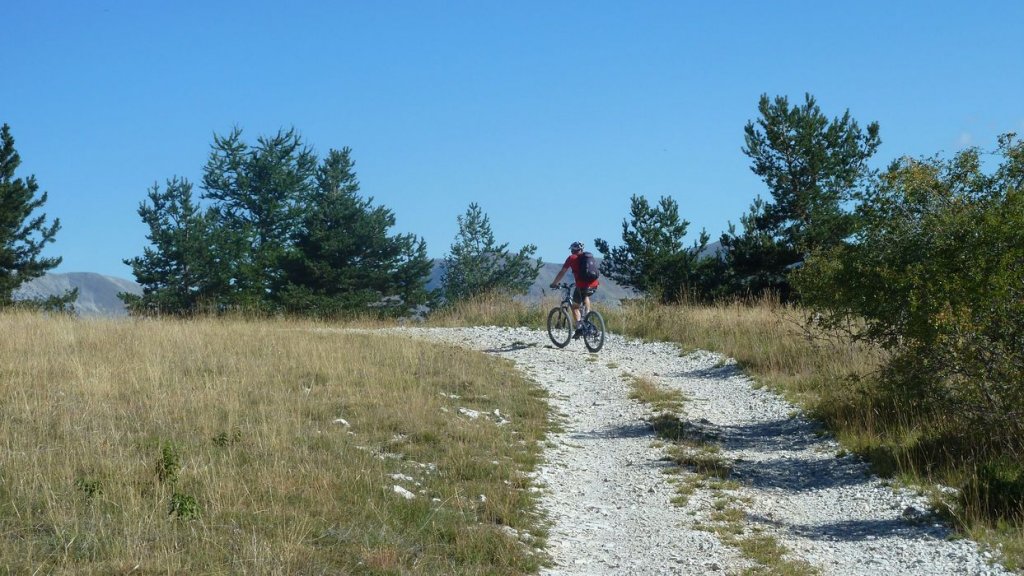 cordoeil_antenne_aout_2015_069.JPG