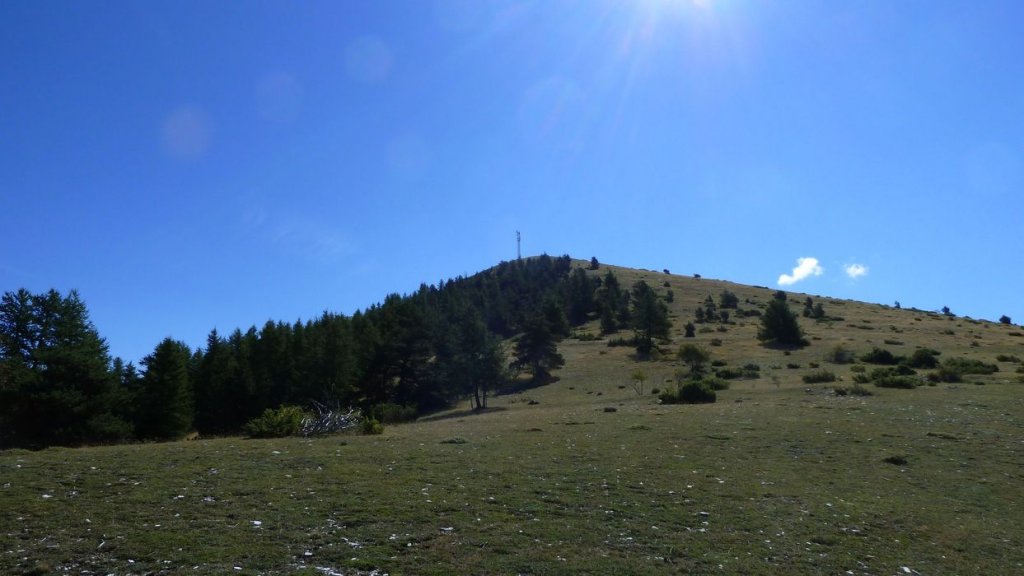 cordoeil_antenne_aout_2015_113.JPG