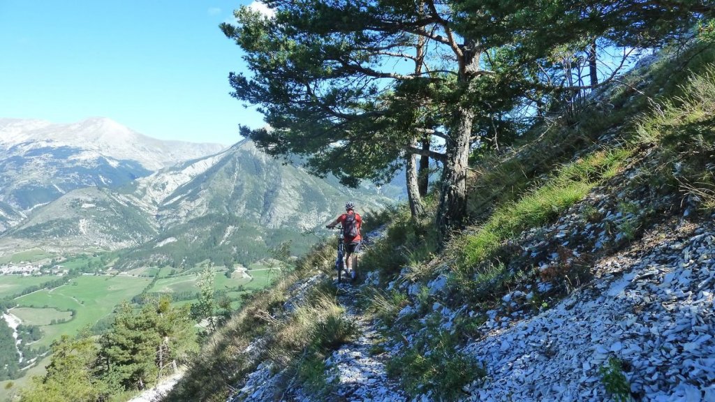 cordoeil_antenne_aout_2015_119.JPG