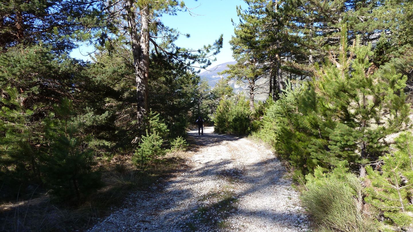 cotage_soleil_avr_2017_019.JPG