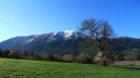 cotage_soleil_avr_2017_003.JPG