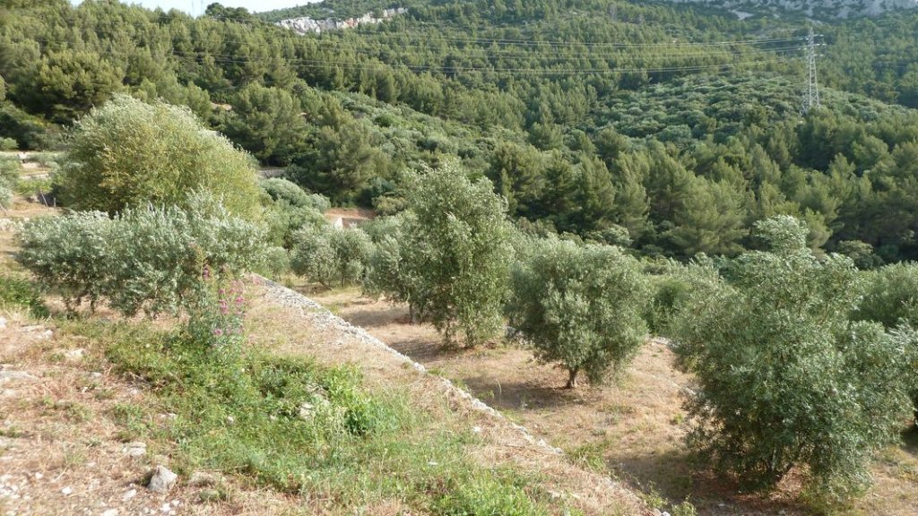 coudon_revest_juin_2012_008.jpg