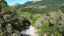 coudon_revest_mai_2017_31.JPG