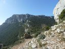 coudon_avril_2012_040.jpg