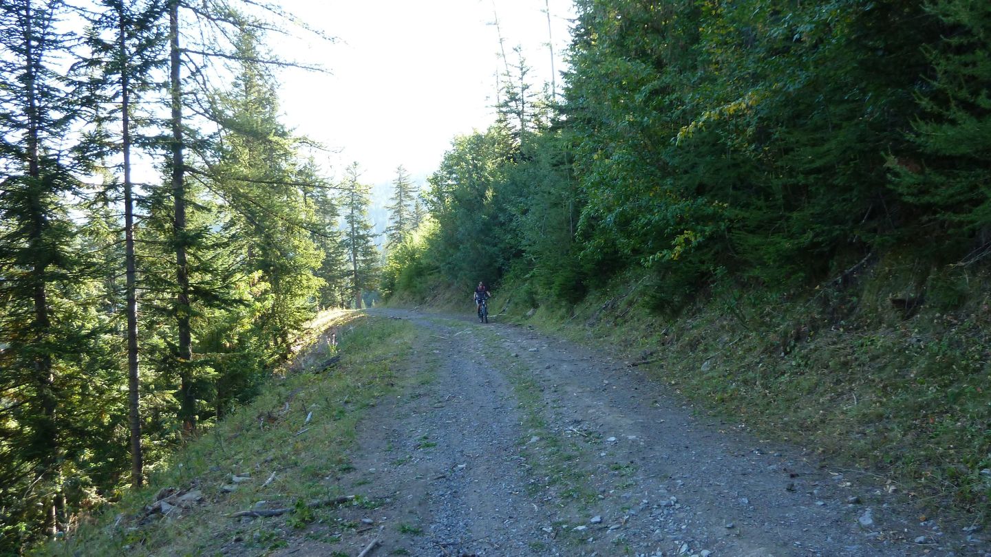 couguyon_2017_052.JPG