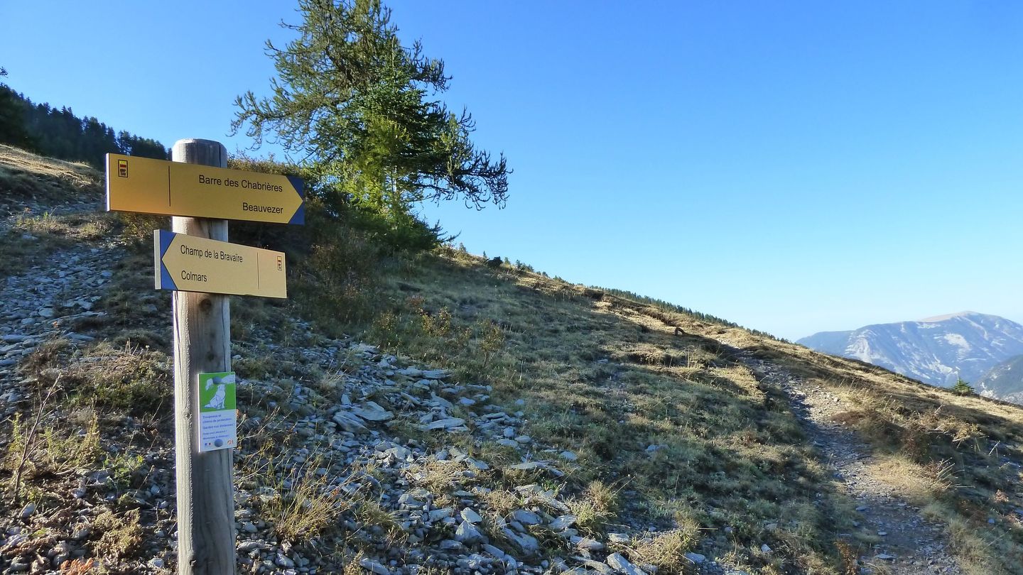 couguyon_2017_070.JPG
