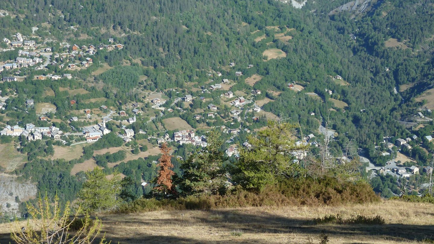 couguyon_2017_082.JPG