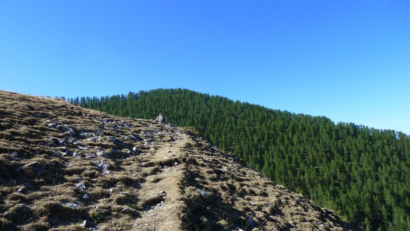 couguyon_2017_196.JPG